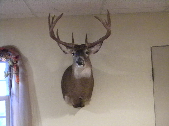 buck mounts